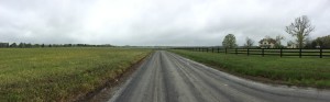 Panoramic shot of the countryside during my 1st leg 