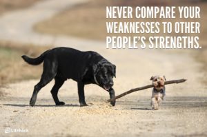 weakness-strengths
